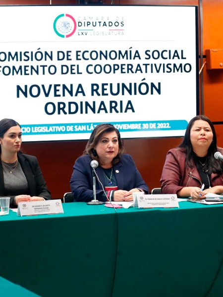 Comisión economía social