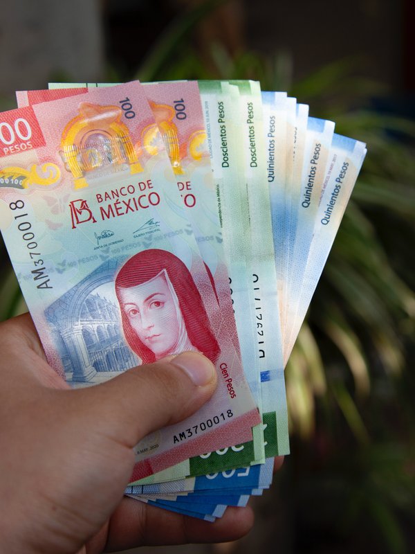 Dinero de regreso bancario